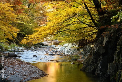 Oashi valley, Kanuma, Tochigi, in autumn photo