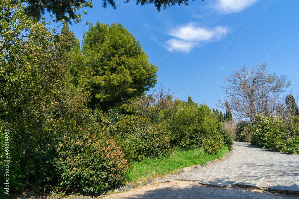 Image of a walkway in the spring park. Image of a walkway in the spring park.