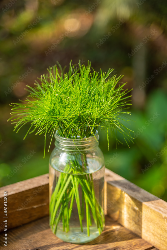 Fototapeta premium Beautiful bouquet of wildflowers in a vase