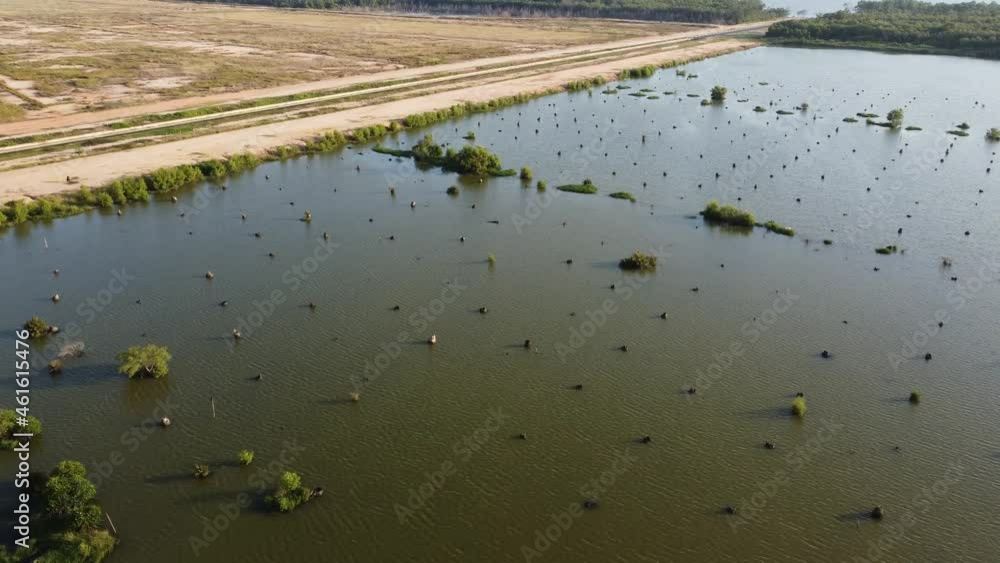 Peatland and wetland deforestation for construction site Peatland and wetland deforestation for construction site