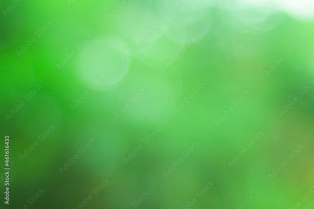 Fototapeta premium Abstract light green soft colour gradient background for design and text.Gradient green light. Texture for design, Blurred background.