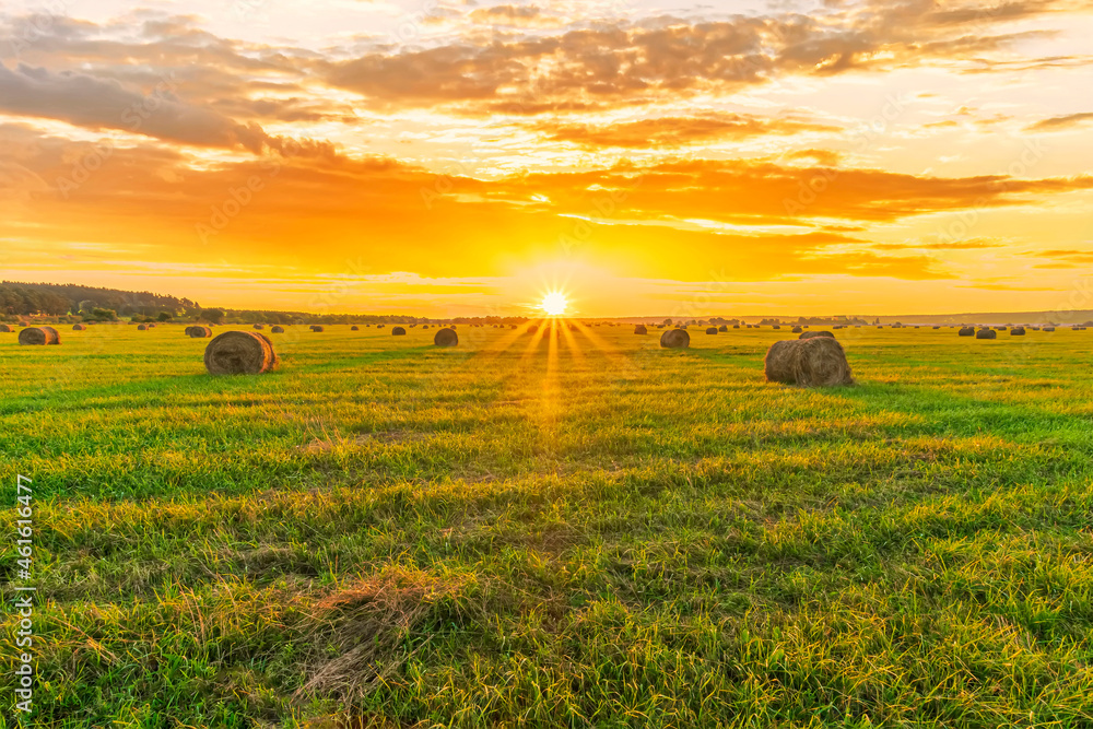 Scenic view at beautiful sunset in a green shiny field in village farm with hay stacks, cloudy sky, golden sun rays, anazing summer valley evening landscape