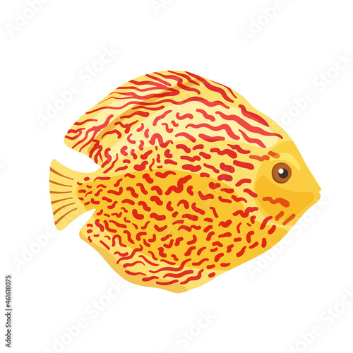 Aquarium fish with red spots clipart. Vector illustration in cartoon style is isolated on white background