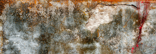 Zjawiskowa, barwna naturalna tekstura postarzanej ściany z rośliną, z pomarańczowym i szarym jesiennym tłem.