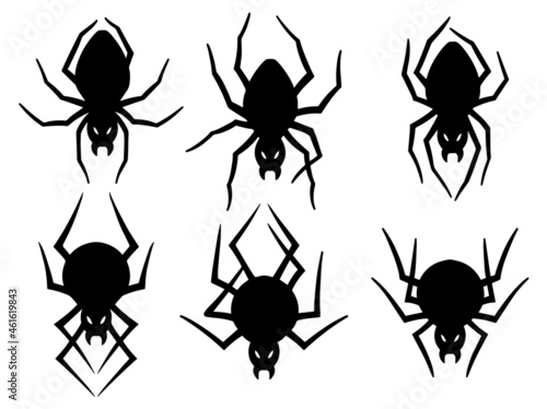 Halloween Spider Silhouette. black and white image illustration