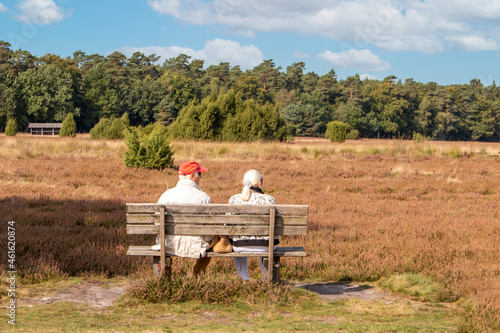 Old people relaxing in the Lüneburg Heath (in german Lüneburger Heide) Lower Saxony (in german Niedersachsen) Germany