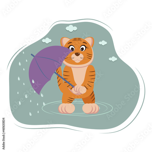 Fototapeta Naklejka Na Ścianę i Meble -  tiger with umbrella in autumn in the rain, wet and cold