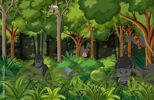 Nature forest landscape background with gorillas