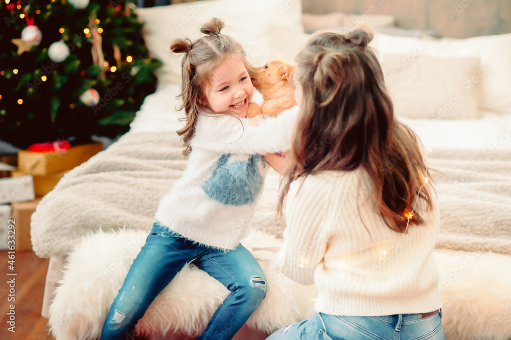 mom gives puppy to daughter on new year's eve, loving family in the room mom gives puppy to daughter on new year's eve, loving family in the room
