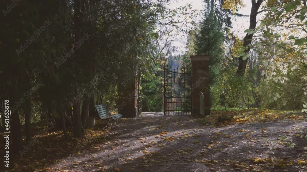 Beautiful autumn park on a sunny day. Yellow leaves in the alley. Ancient gate with openwork forging among the trees. Beautiful sunlight shining through yellow leaves. Popular place for active walks Beautiful autumn park on a sunny day. Yellow leaves in the alley. Ancient gate with openwork forging among the trees. Beautiful sunlight shining through yellow leaves. Popular place for active walks