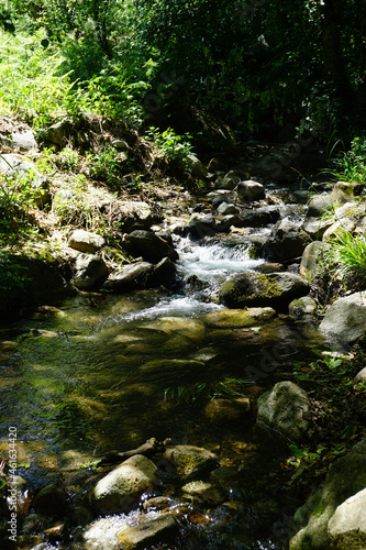 Monchique in mountains of Algarve, Portugal