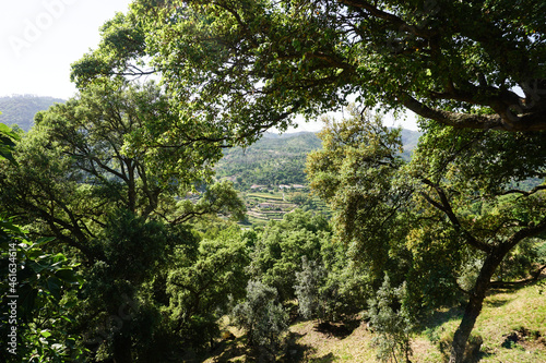 Monchique in mountains of Algarve, Portugal
