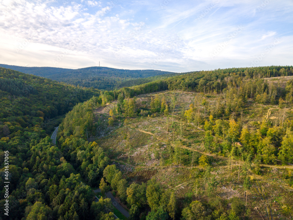 Luftaufnahme mit Drohne vom Waldsterben im Taunus durch den Borkenkäfer und Klimawandel in der Nähe von Oberusel, Deutschland Hessen