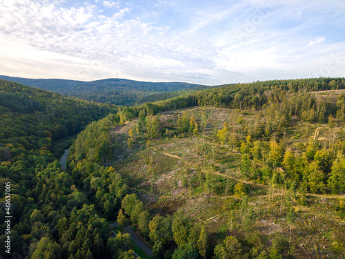 Luftaufnahme mit Drohne vom Waldsterben im Taunus durch den Borkenkäfer und Klimawandel in der Nähe von Oberusel, Deutschland Hessen