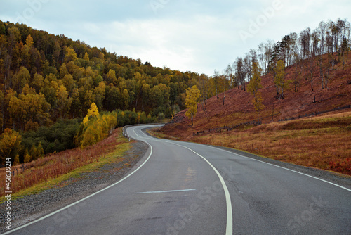 Autumn road going into the distance