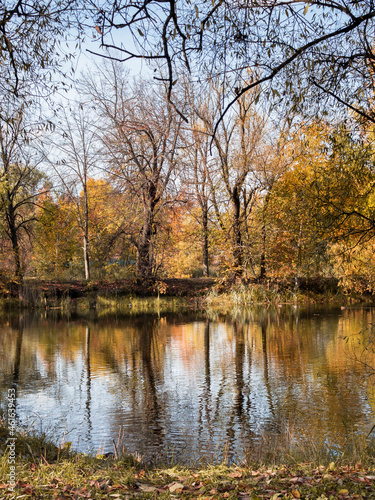 Autumn landscape with a lake. On the far shore, colorful autumn trees. Reflection of trees in the lake. Sunlight. Vertically