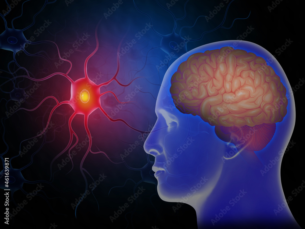 Active Nerve Cell with Brain Active Nerve Cell with Brain