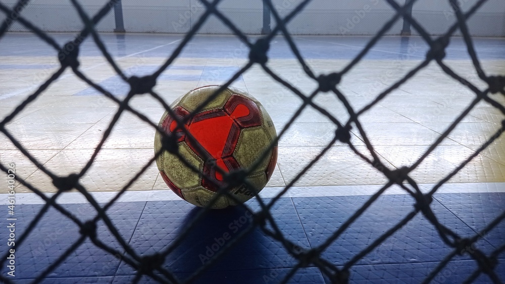 ball in the net ball in the net