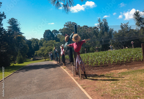 scarecrows posed in front of crops in a botanical gardens in Australia