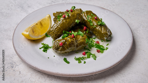Close up dolma or tolma, stuffed grape leaves with rice, meat, parsley, pepper and lemon in white plate. Panoramic orientation