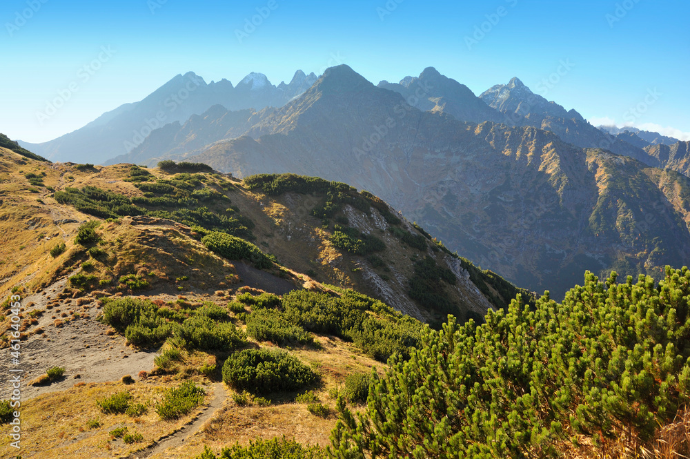 Fototapeta premium Siroke sedlo