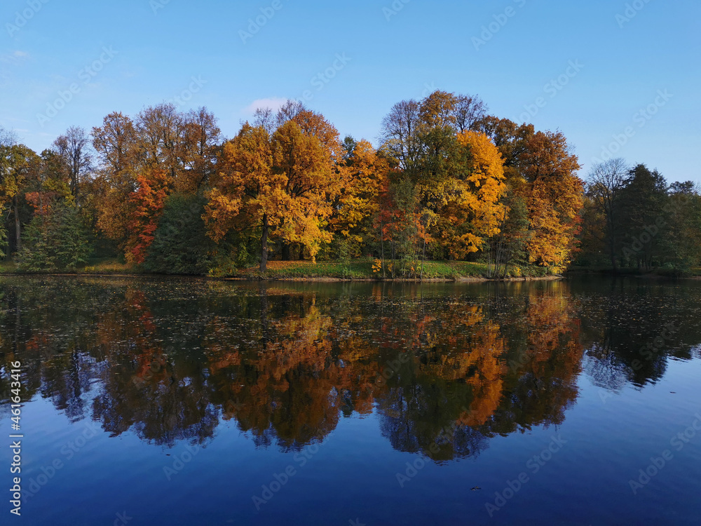 Autumn in the park. Trees with bright, colorful leaves grow around the pond and are reflected in its blue water. Inverted photo..
