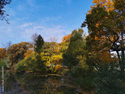 Trees with yellow, green and orange leaves grow around the pond and are reflected in its water.