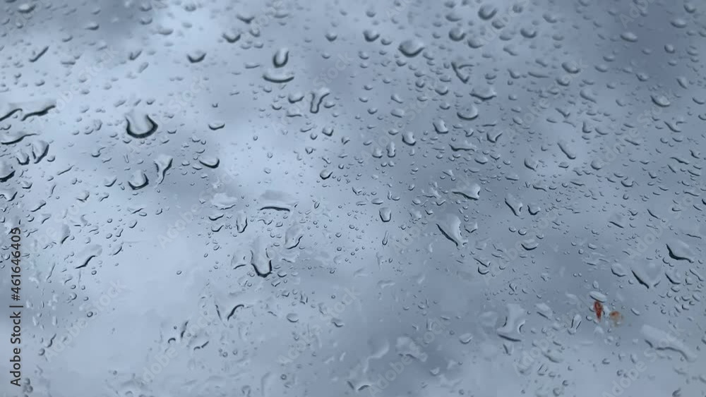 water drops on the window water drops on the window