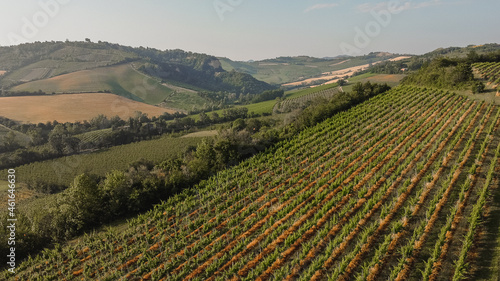 Aerial view of Italian landscape with cultivated fields. © Pintau Studio