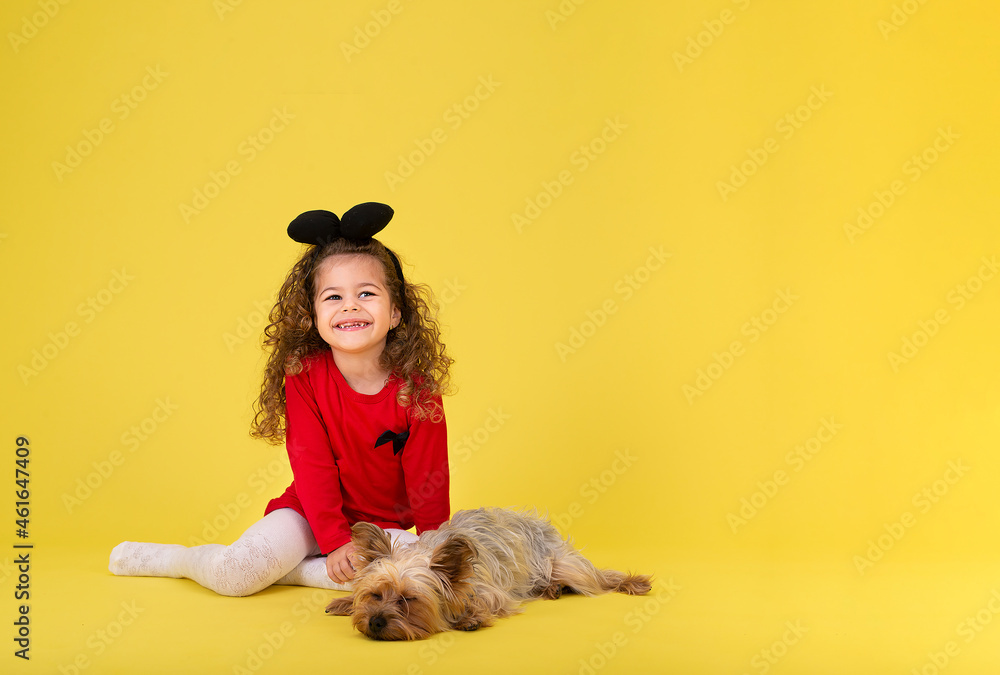 Little girl with a little puppy on a yellow background. Beauty plays with the Yorkie Terrier like a toy. Little girl with a little puppy on a yellow background. Beauty plays with the Yorkie Terrier like a toy.