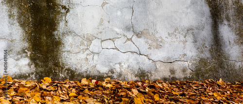 Naturalne tło  opadających żółtych i pomarańczowych jesiennych liści z teksturą starej pionowej, postarzanej ulicznej ściany w jesiennym świetle października. Panorama, tapeta, obraz. photo
