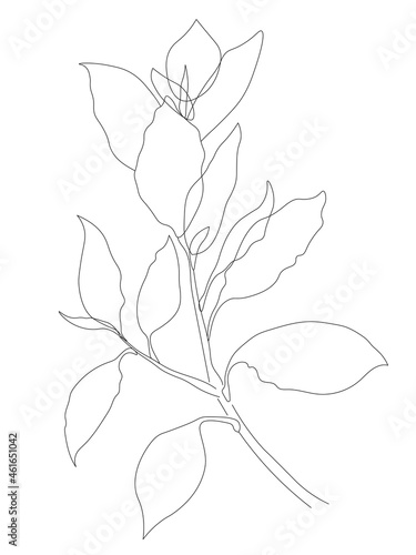 Vector brunch with leaves in line