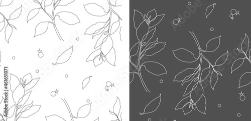 Vector pattern set grey,black and white brunch