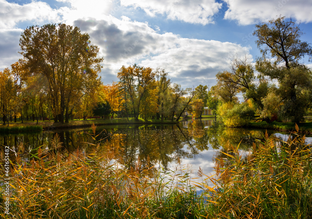 Fototapeta premium Landscape in the autumn Victory Park in St. Petersburg