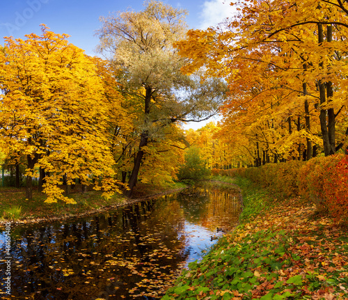 Landscape in the autumn park