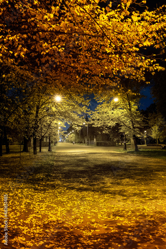 Alley in the night, autumn park