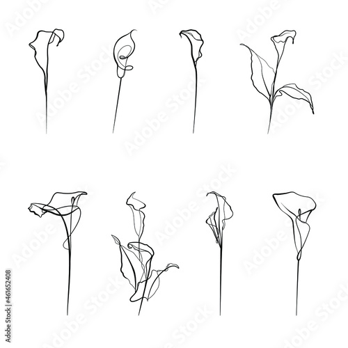 Set of silhouettes of flowers. Black outline Icons of the Calla lily flowers on. the white background.