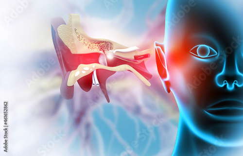 Fotografija The anatomical structure of the human ear, sound wave and ear with middle ear, o