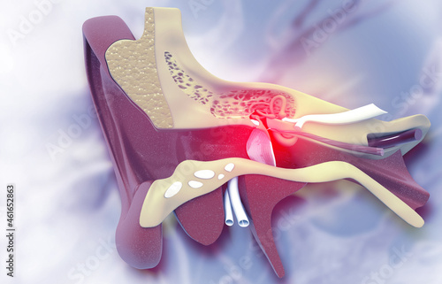 The anatomical structure of the human ear, sound wave and ear with middle ear, otitis, auditory canal, auditory canal and cochlea nerve, 3d illustration