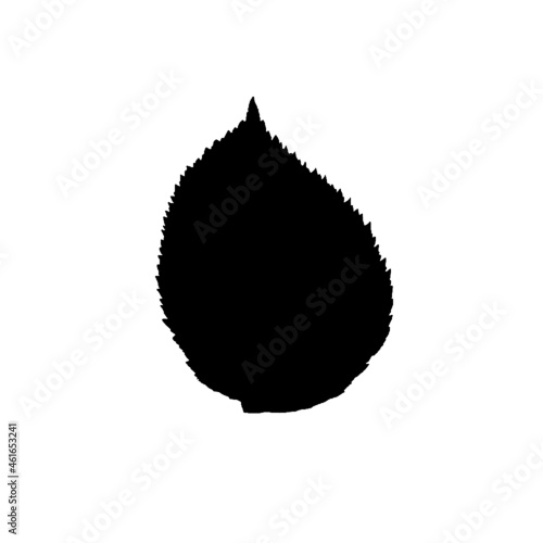 Schwarzes Blatt auf weißem Hintergrund