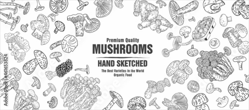 Mushrooms. Hand drawn illustration. Pieces of Mushrooms design template. Engraved design. Great for package design. Vector illustration.
