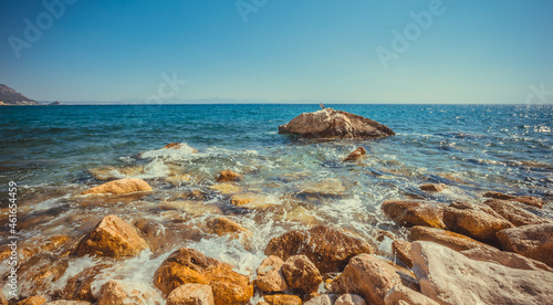 Fototapeta Naklejka Na Ścianę i Meble -  a beautiful bird sits on a rock in the Mediterranean sea