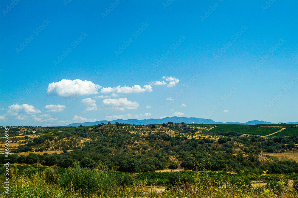 Viñedos del área de cultivo del Somontano con D.O. del mismo nombre, que tiene como centro la localidad de Barbastro, Huesca, Aragón.