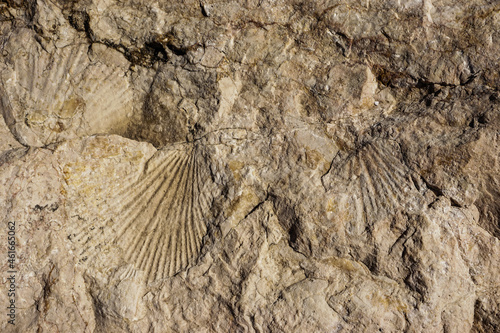 stone background, stone texture