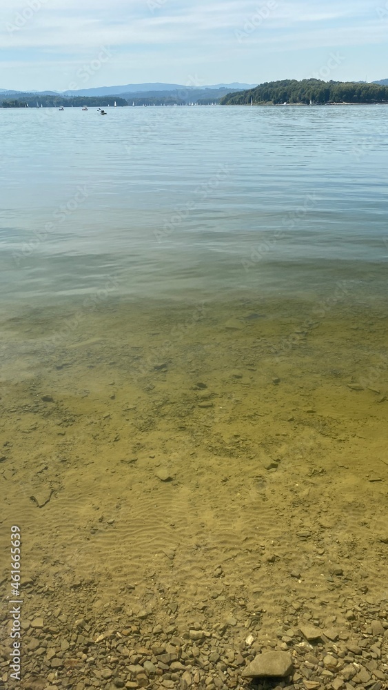Lake Solinskie visible green water and floating fish large carp Lake Solinskie visible green water and floating fish large carp