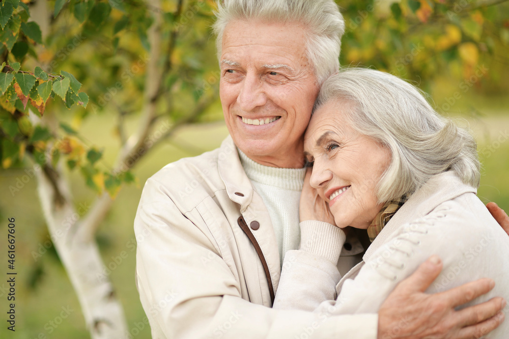 beautiful senior couple hugging in the park beautiful senior couple hugging in the park