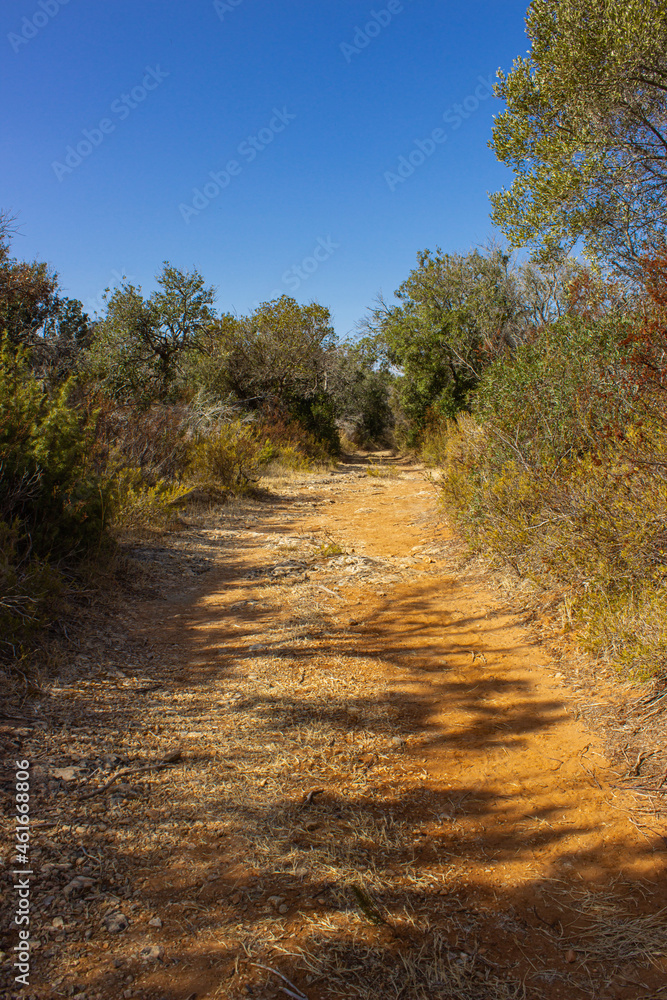 Red earth path in the Maremma park. Shadows of plants on the ground. Mediterranean plants against the blue sky. Vertical image. Red earth path in the Maremma park. Shadows of plants on the ground. Mediterranean plants against the blue sky. Vertical image.