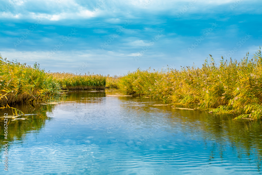 Obraz premium Calm wide river, fishing landscape. Reeds and kugai along the river bank. Tranquil pond landscape, beautiful nature.