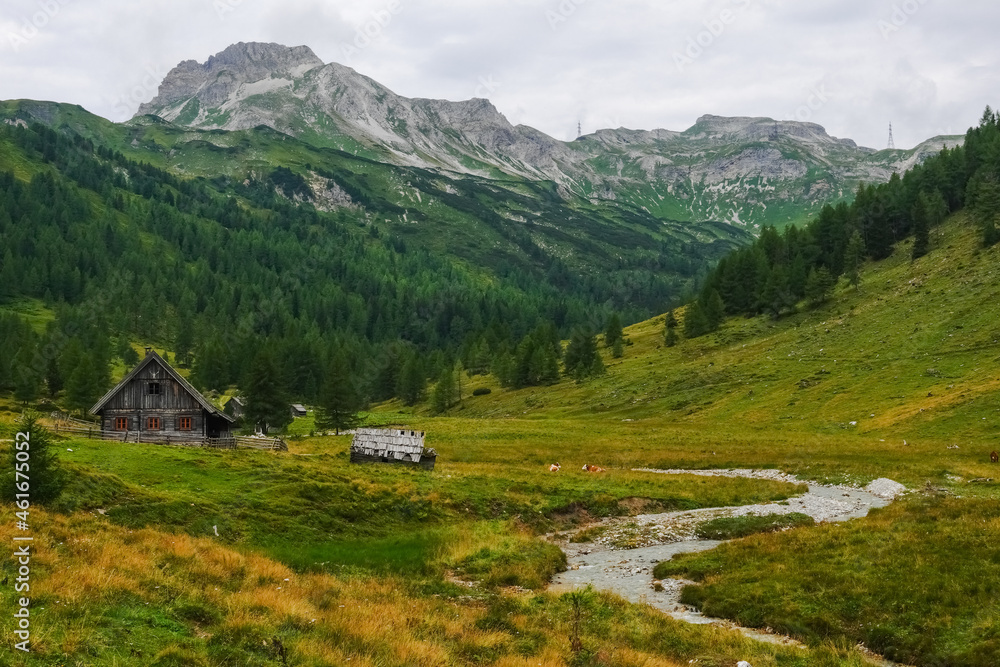 wooden alpine huts in a gorgeous green mountain landscape with a wild brook