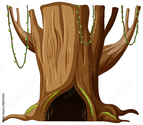 Tree trunk with big hollow